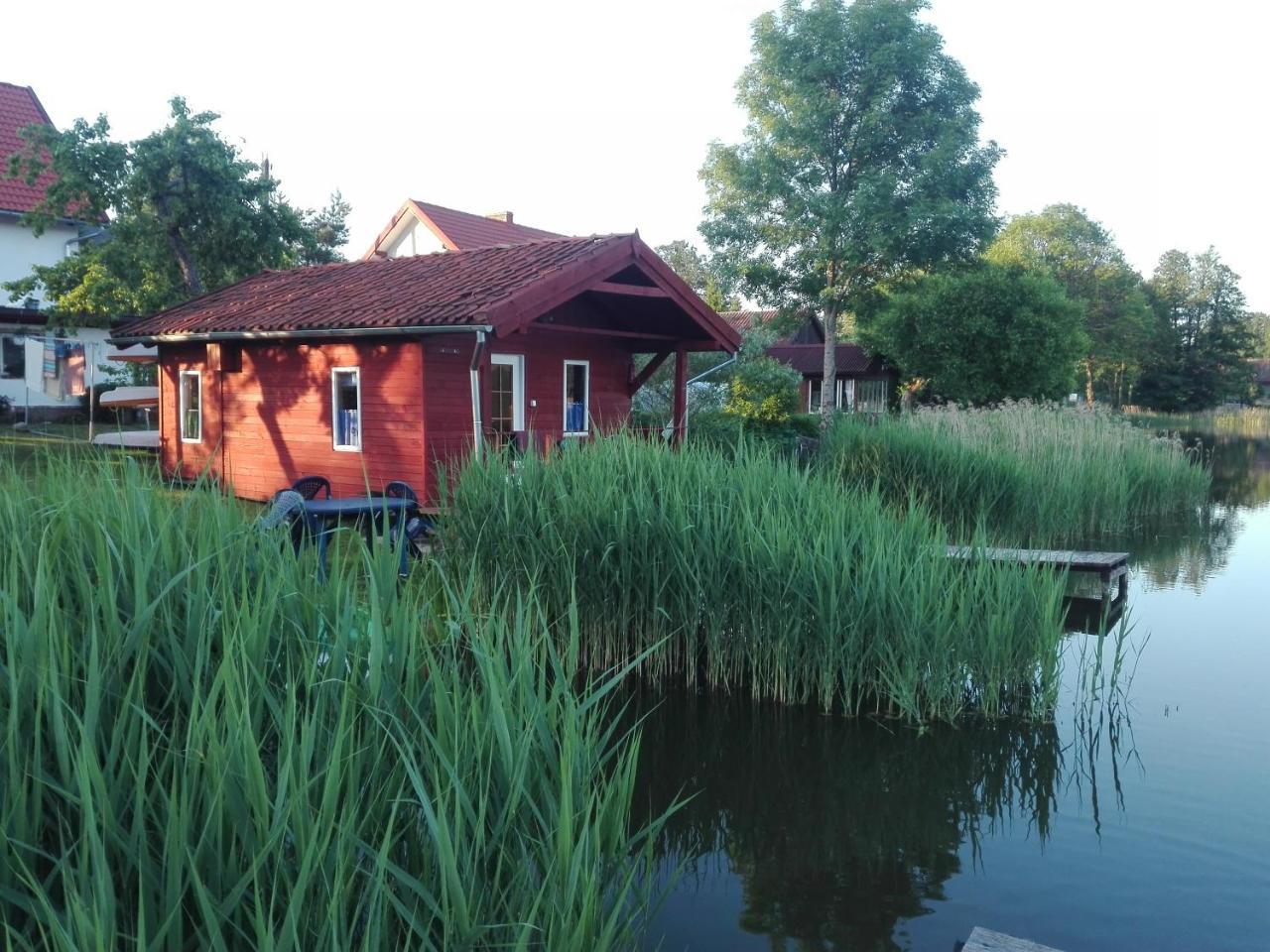 Agro-Tur Domki W Szuwarach Kuty Exterior photo